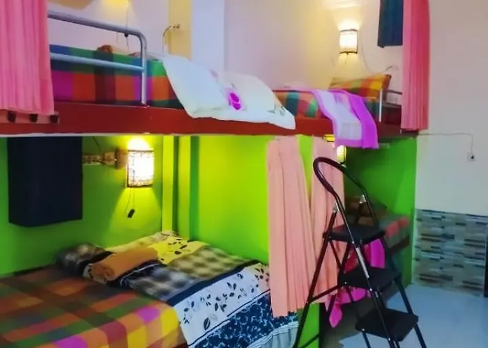 Greenview Backpacker Hostel *